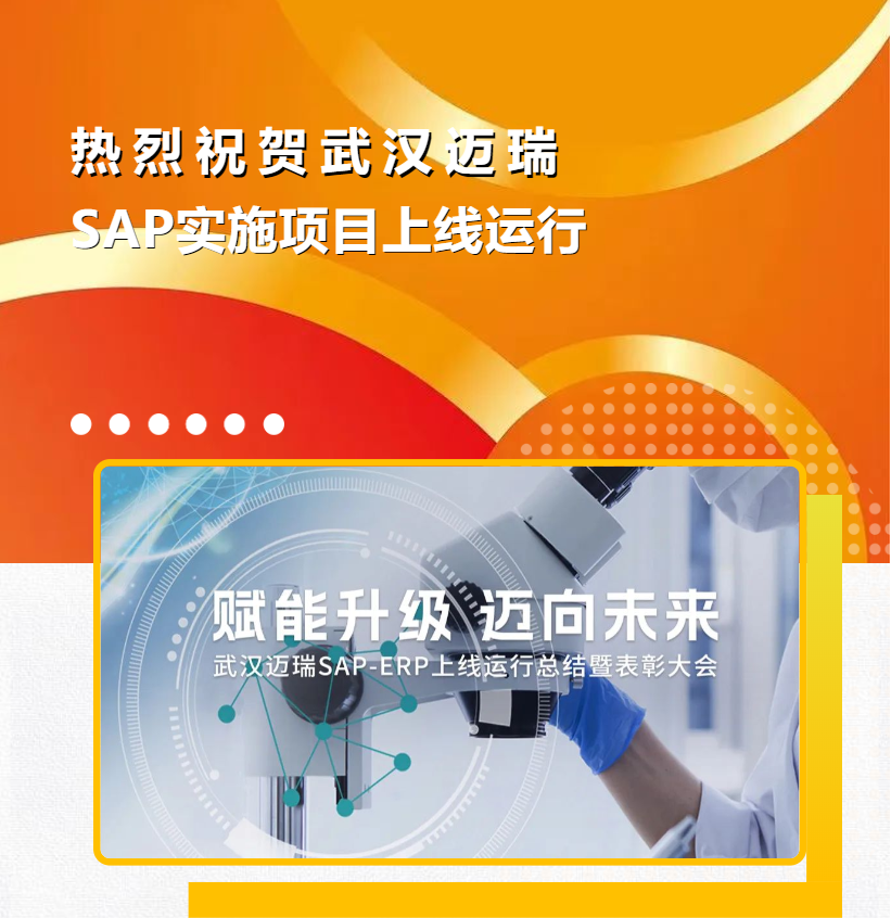 普菲特信息｜熱烈祝賀武漢邁瑞SAP實施項目成功上線