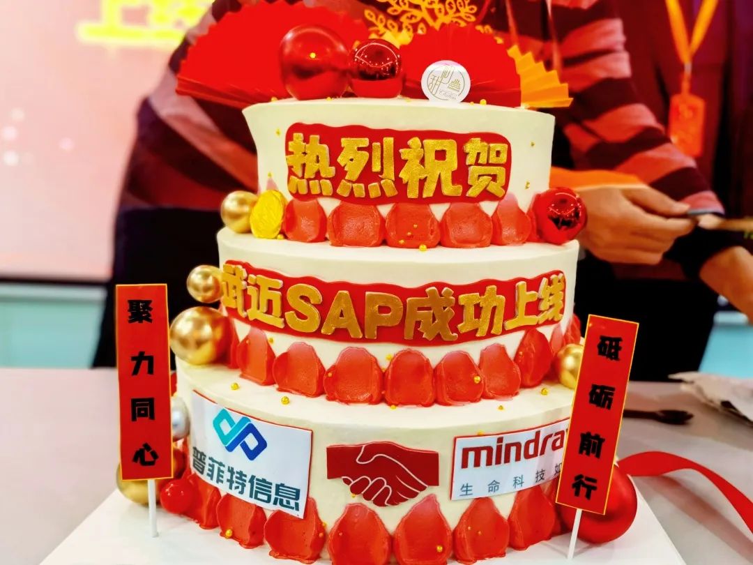 普菲特信息｜熱烈祝賀武漢邁瑞SAP實施項目成功上線