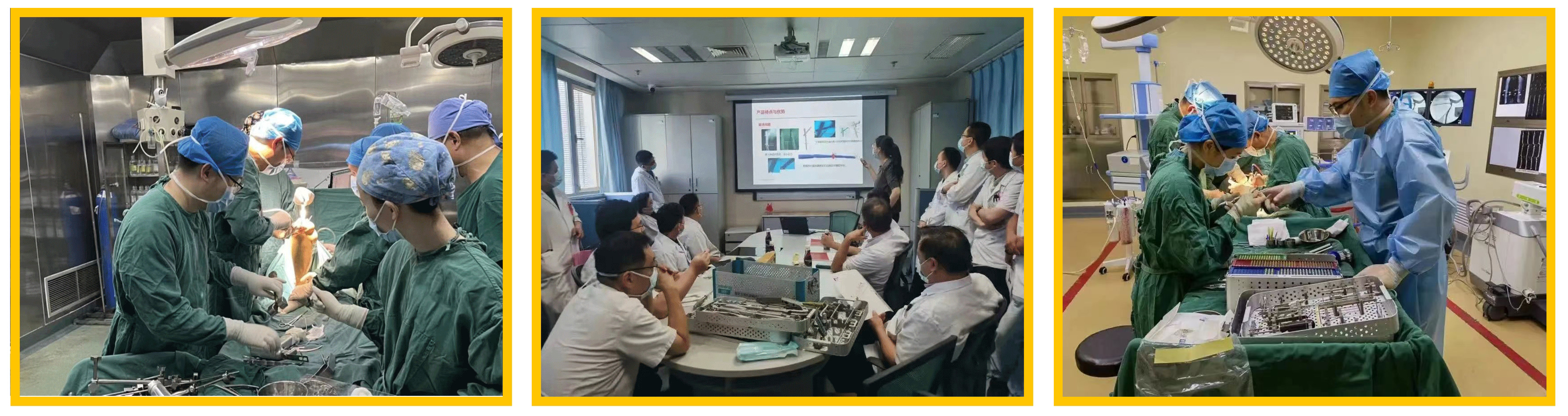 普菲特信息｜熱烈祝賀武漢邁瑞SAP實施項目成功上線