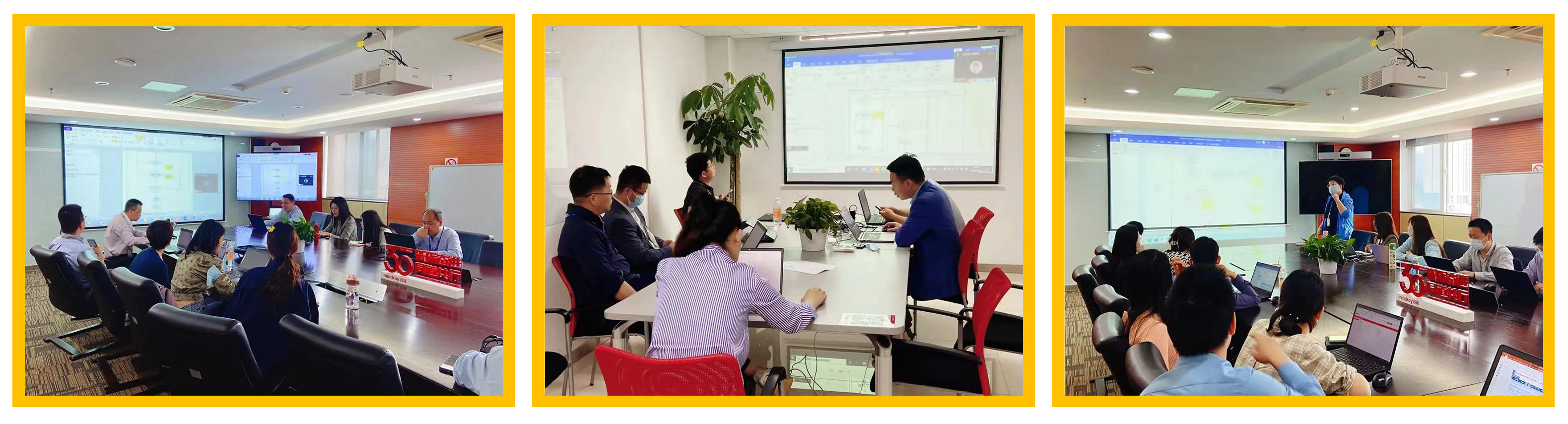 普菲特信息｜熱烈祝賀武漢邁瑞SAP實施項目成功上線