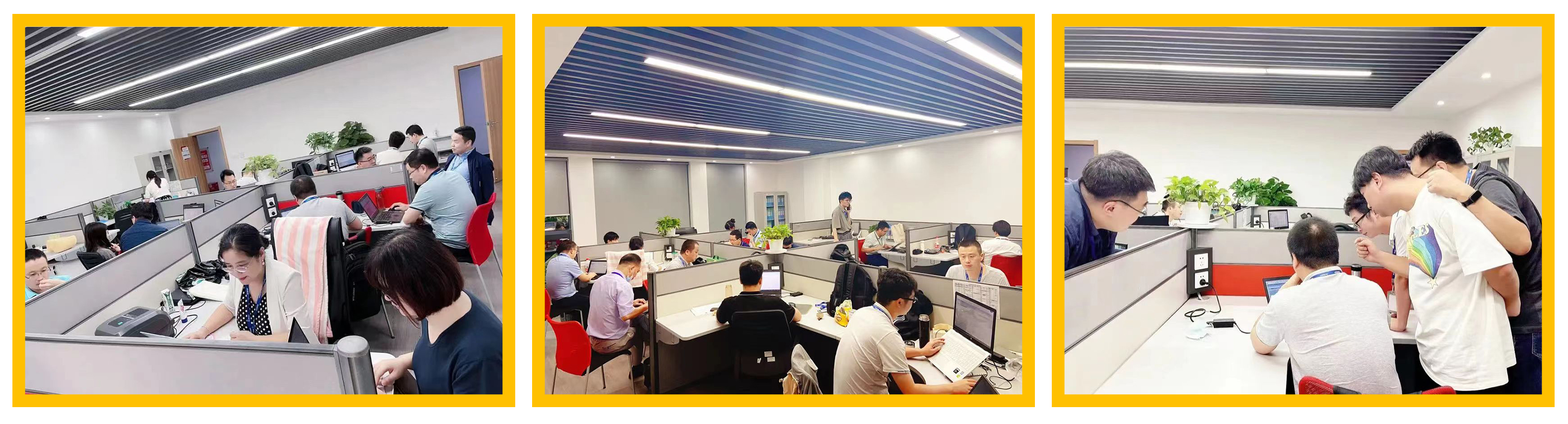 普菲特信息｜熱烈祝賀武漢邁瑞SAP實施項目成功上線