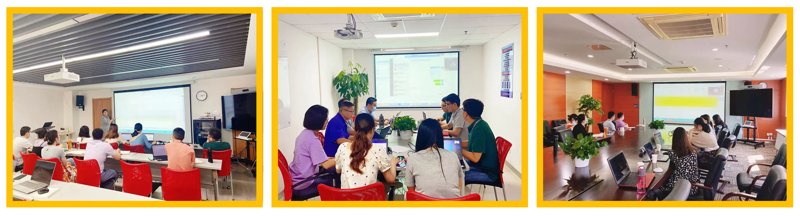 普菲特信息｜熱烈祝賀武漢邁瑞SAP實施項目成功上線