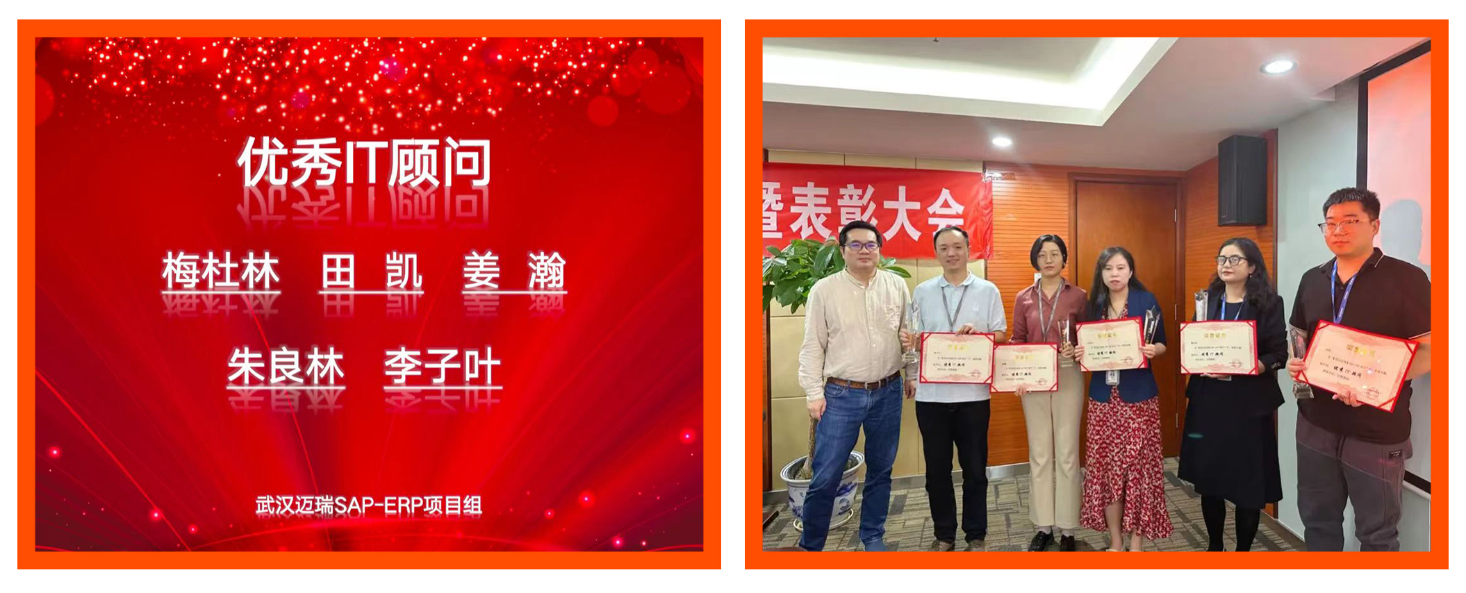 普菲特信息｜熱烈祝賀武漢邁瑞SAP實施項目成功上線