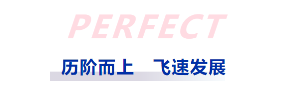 揚(yáng)帆數(shù)字化新藍(lán)海|祝賀普菲特?cái)?shù)字智造事業(yè)群成立 揚(yáng)帆數(shù)字化新藍(lán)海|祝賀普菲特?cái)?shù)字智造事業(yè)群成立