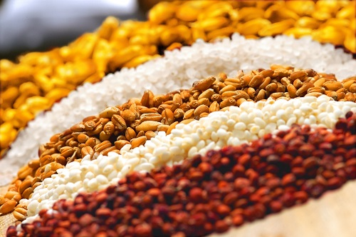 普菲特信息｜五糧液人力資源管理系統(tǒng)二期項目啟動會圓滿舉行